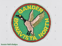 Gander Bonavista North [NL G01b.1]